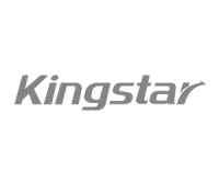logo kingstar